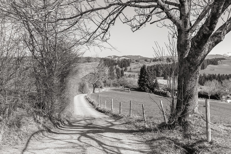 Leica M Monochrom • Zeiss ZM 35/2