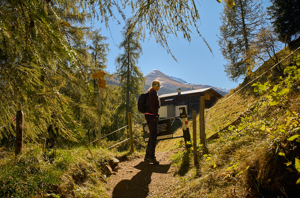 Im Aufstieg von Frauenkirch zur Stafelalp Im Aufstieg von Frauenkirch zur Stafelalp