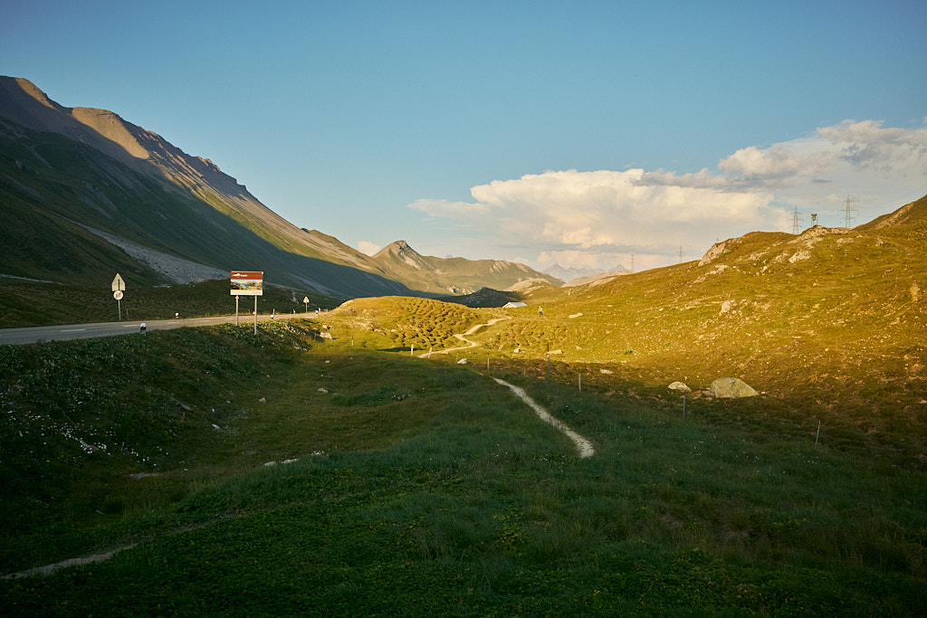 00298f6425.jpg
