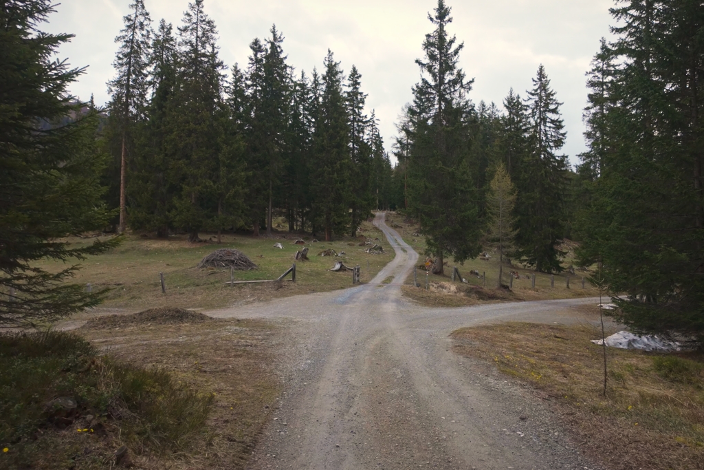 Bei Grünwald im Aufstieg zur Schmittner Alp Bei Grünwald im Aufstieg zur Schmittner Alp