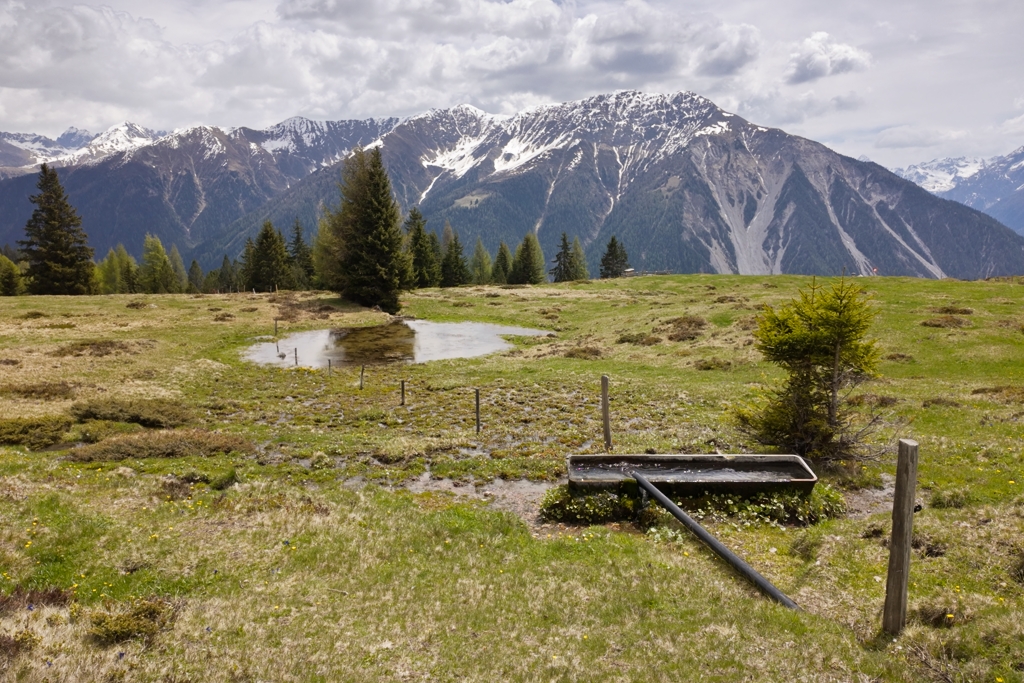 Schmittner Alp Schmittner Alp
