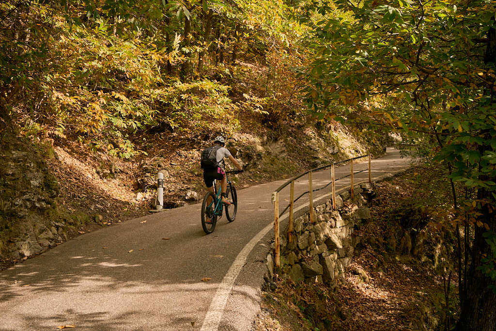 Auf der Waldstrasse nach Monte Brè