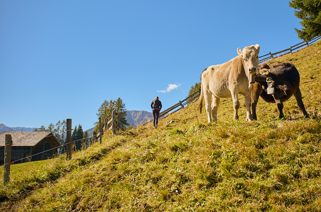 Im Aufstieg von Frauenkirch zur Stafelalp Im Aufstieg von Frauenkirch zur Stafelalp