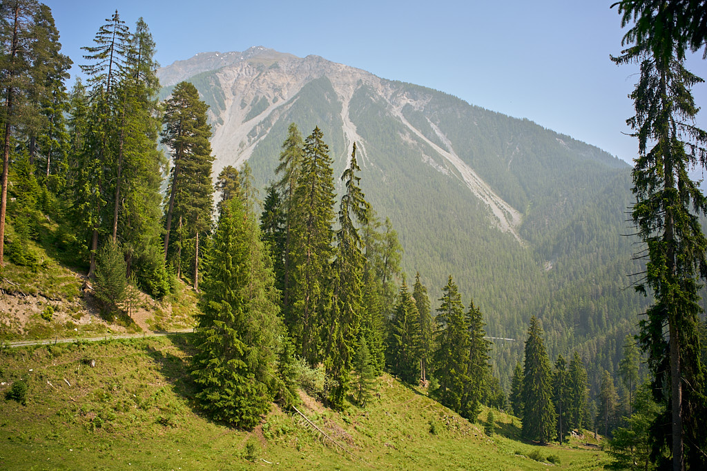 017634240d.jpg