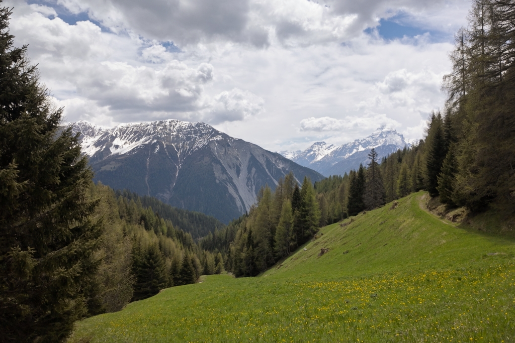 Unterwegs zur Wiesner Alp Unterwegs zur Wiesner Alp