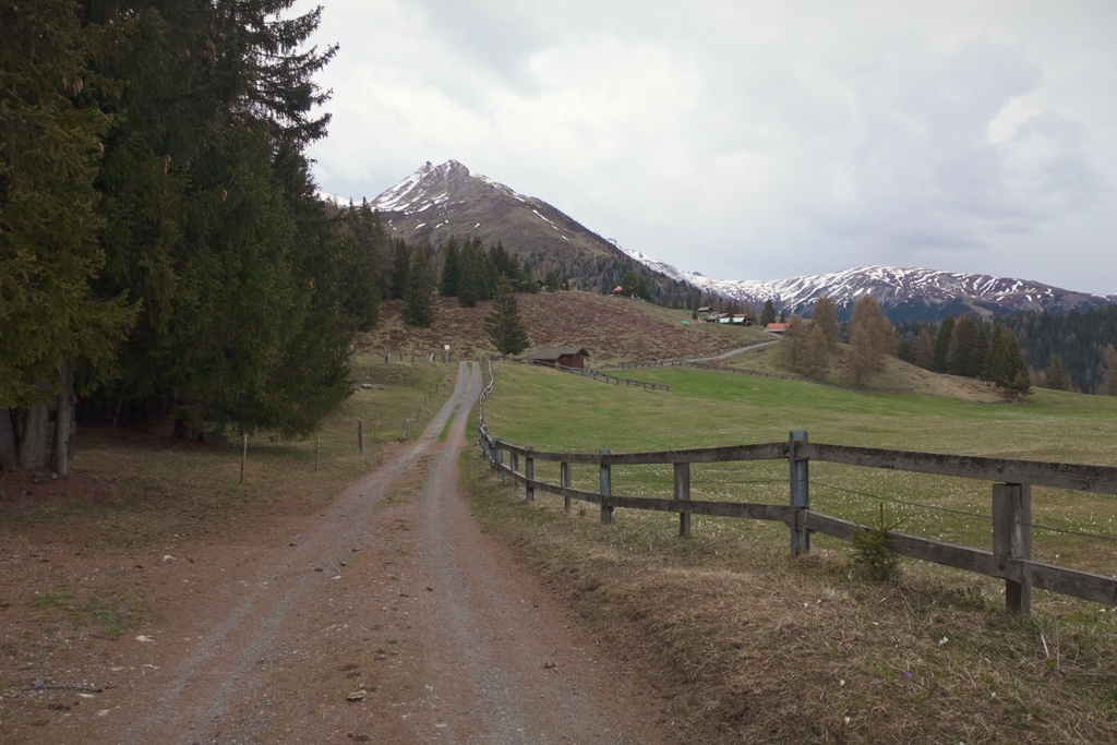 Kurz vor der Schmittner Alp Kurz vor der Schmittner Alp