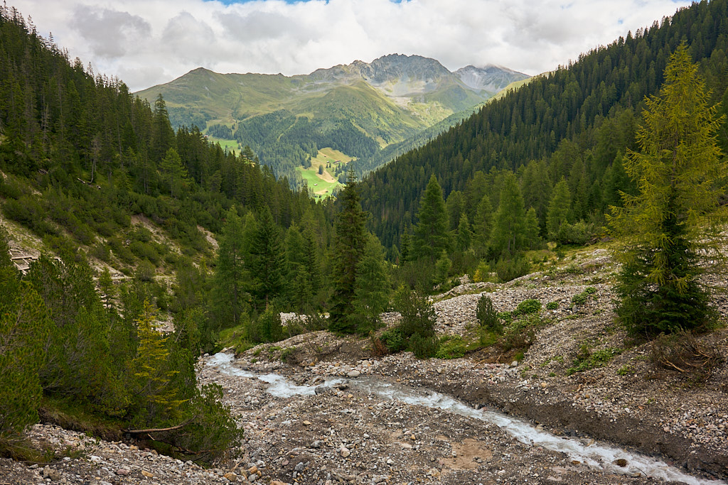 Blick aus dem Bärental zu Rinerhorn und Leidbachhorn Blick aus dem Bärental zu Rinerhorn und Leidbachhorn