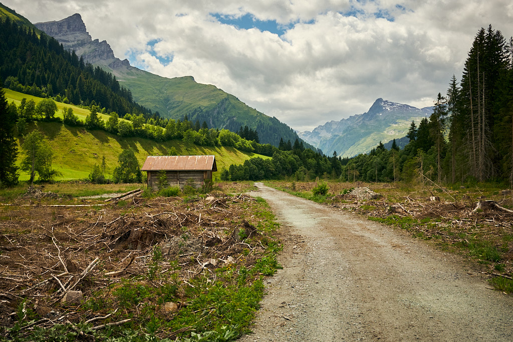 Auf dem Waldweg nach Nufenen