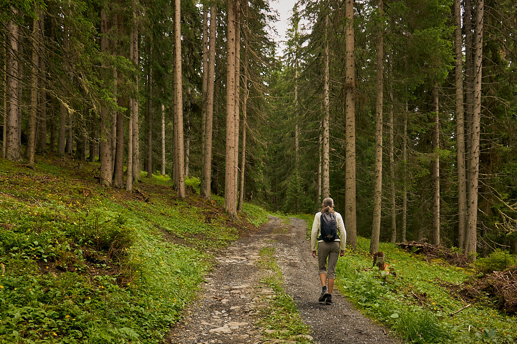 Unterwegs nach Äbirügg Unterwegs nach Äbirügg