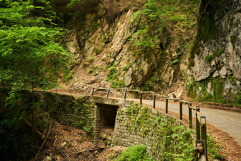 Auf der stillen Waldstrasse nach Laura Auf der stillen Waldstrasse nach Laura