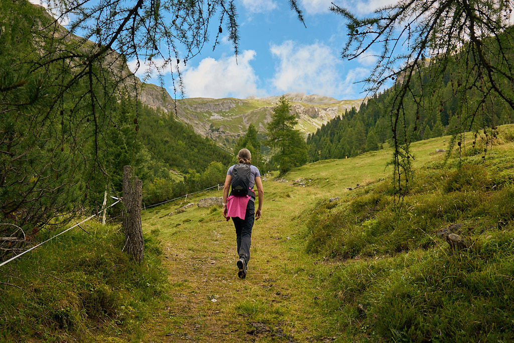 Aufstieg ins Bärental Aufstieg ins Bärental