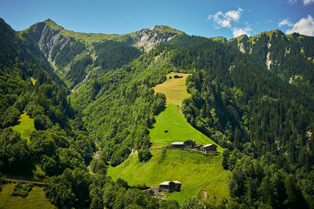Höfe an den Berghängen auf dem Weg nach Vals