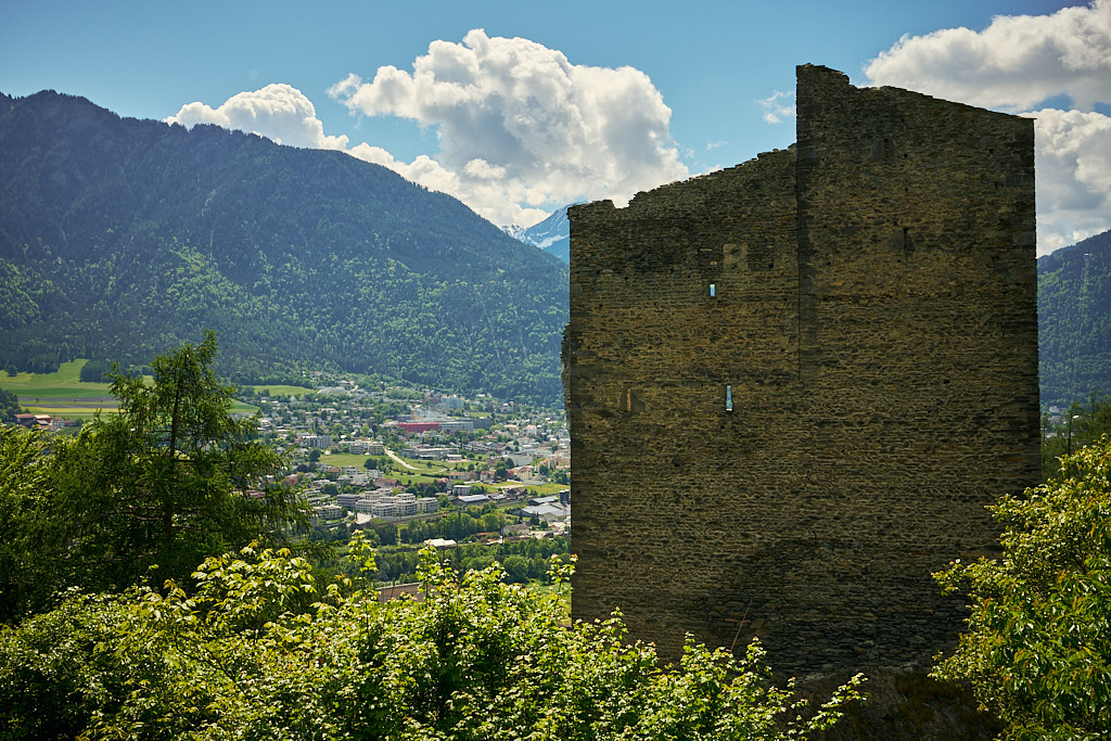 Bei der Burgruine Haldenstein am Wegrand Bei der Burgruine Haldenstein am Wegrand