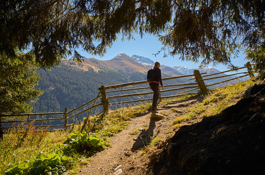 Im Aufstieg von Frauenkirch zur Stafelalp Im Aufstieg von Frauenkirch zur Stafelalp