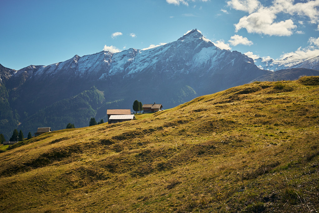 Auf der Höhe von Obergmeind Auf der Höhe von Obergmeind