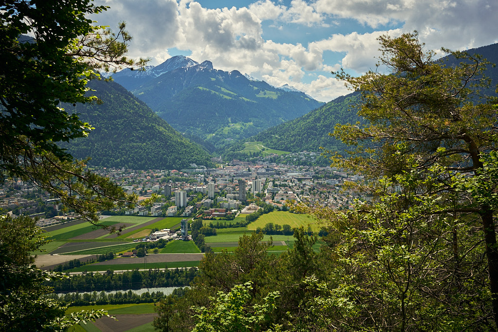 Blick zwischen den Bäumen auf die Stadt Chur Blick zwischen den Bäumen auf die Stadt Chur