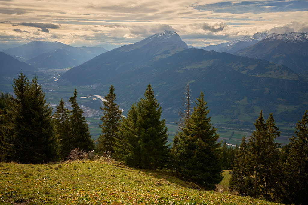 Rheintal mit Haldensteiner Calanda