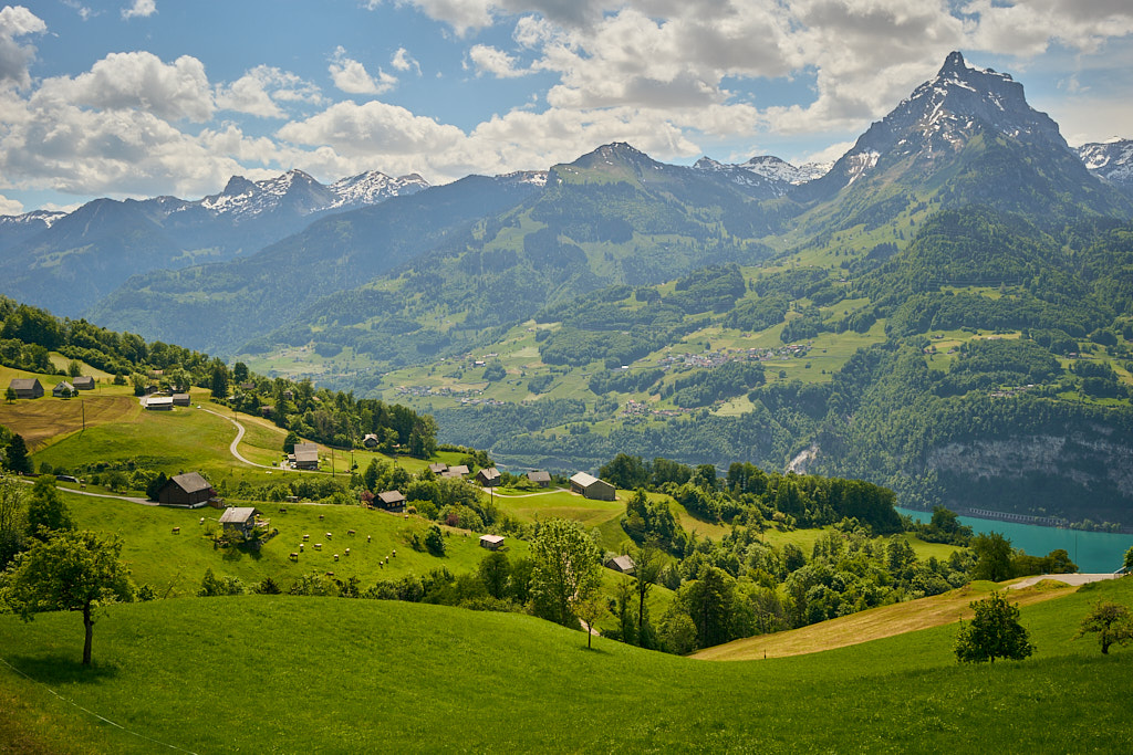 Blick auf die andere Seeseite und den Mürtschenstock Blick auf die andere Seeseite und den Mürtschenstock