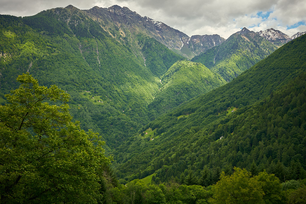 Bewaldete Hänge und abgelegene Hütten im Val Traversagna Bewaldete Hänge und abgelegene Hütten im Val Traversagna