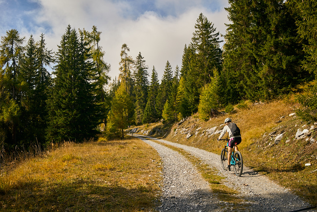 Im Aufstieg auf dem Alpweg zur Alp Mora
