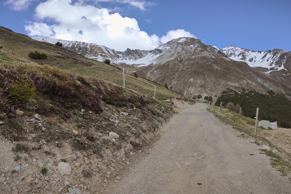 Freie Fahrt im oberen Teil des Alpwegs Freie Fahrt im oberen Teil des Alpwegs