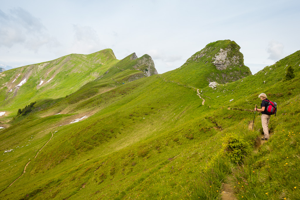 Weiterweg zur Sünser Spitze an namenlosen Grasgipfeln vorbei