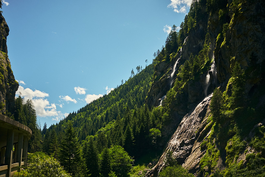Wasserfälle an den Hängen über der Rheinschlucht