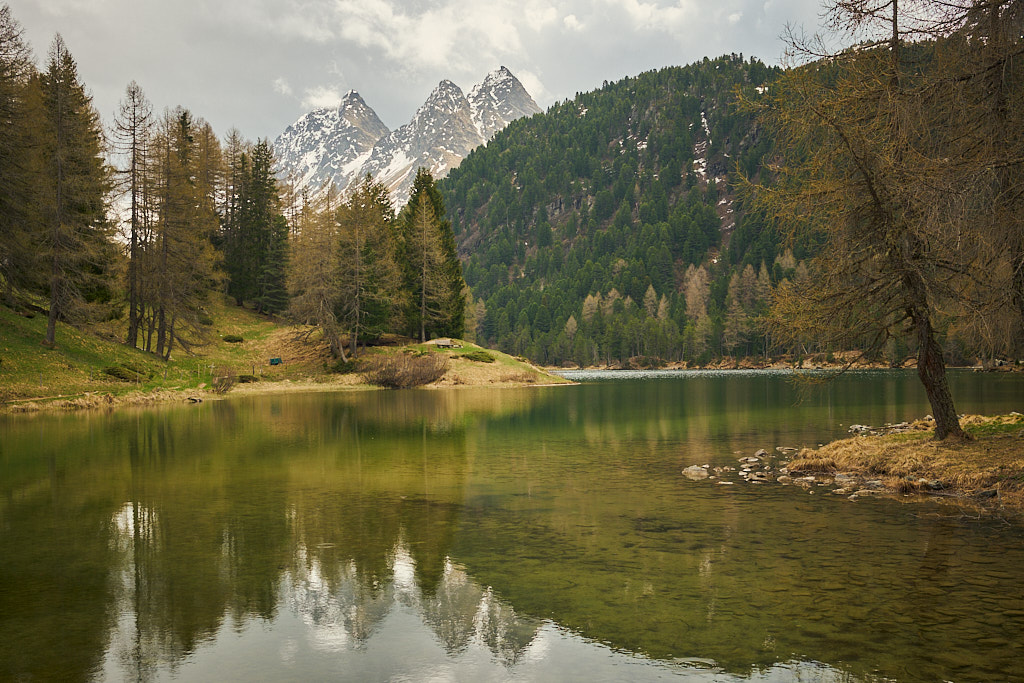 Am Lai da Palpuogna Am Lai da Palpuogna