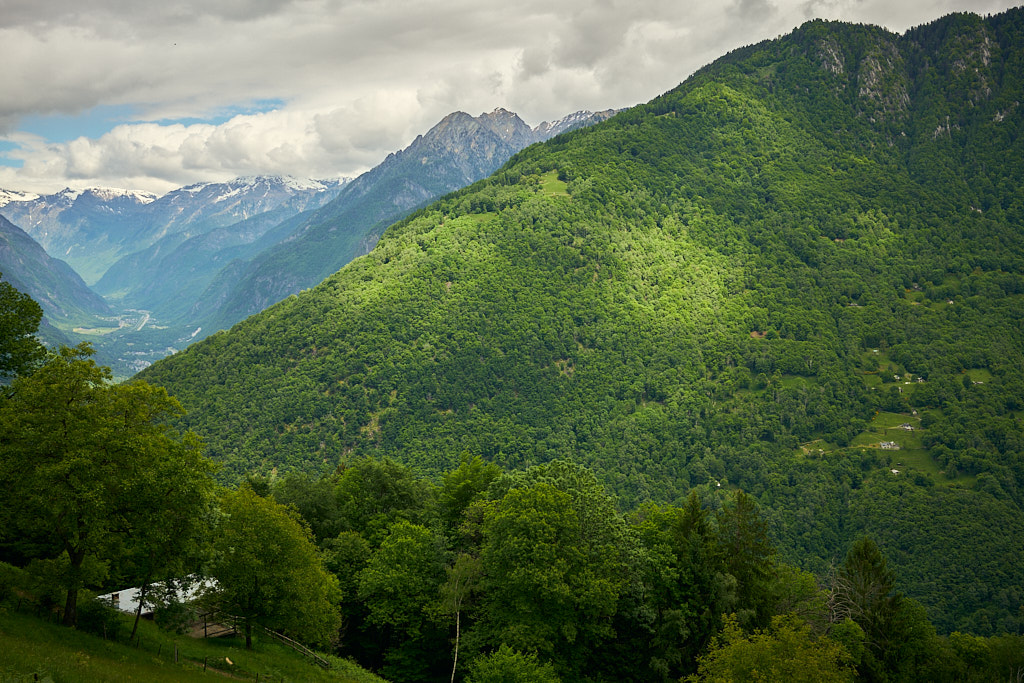 Bewaldete Hänge und abgelegene Hütten im Val Traversagna Bewaldete Hänge und abgelegene Hütten im Val Traversagna