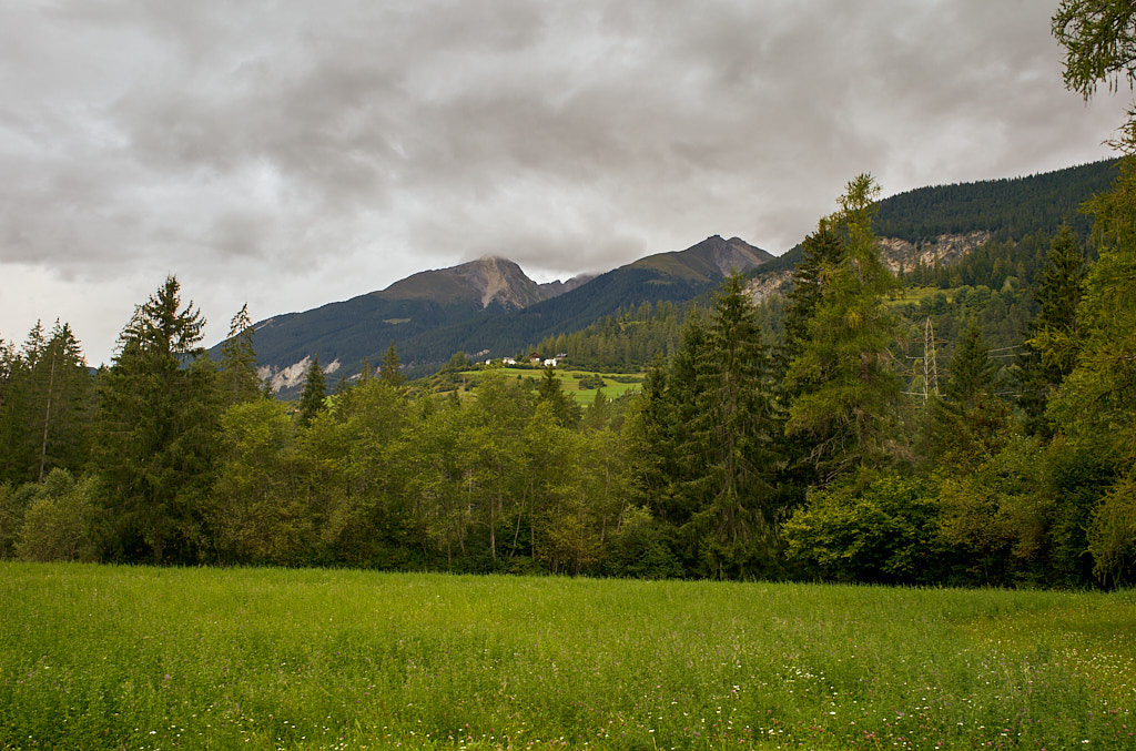 0773720d90.jpg