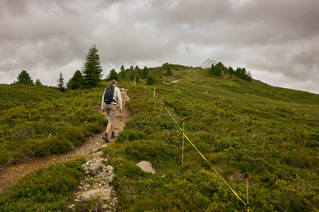 Äbirügg und die Spitze vom Rinerhorn Äbirügg und die Spitze vom Rinerhorn