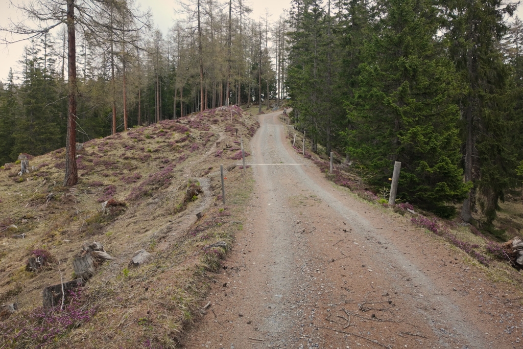 Zweiter Aufstieg auf der Alpstrasse Zweiter Aufstieg auf der Alpstrasse