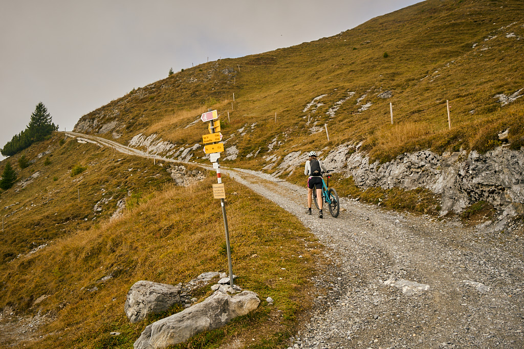 Im oberen Teil wird der Aufstieg mühsamer
