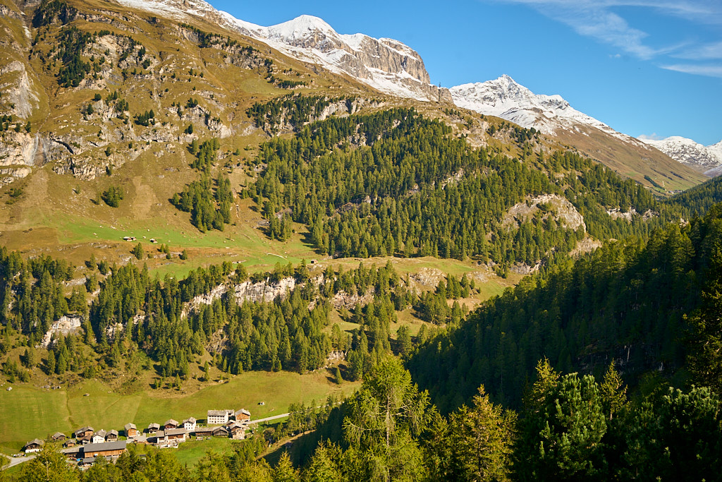 Campsut von der Strasse zum Tunnel gesehen Campsut von der Strasse zum Tunnel gesehen