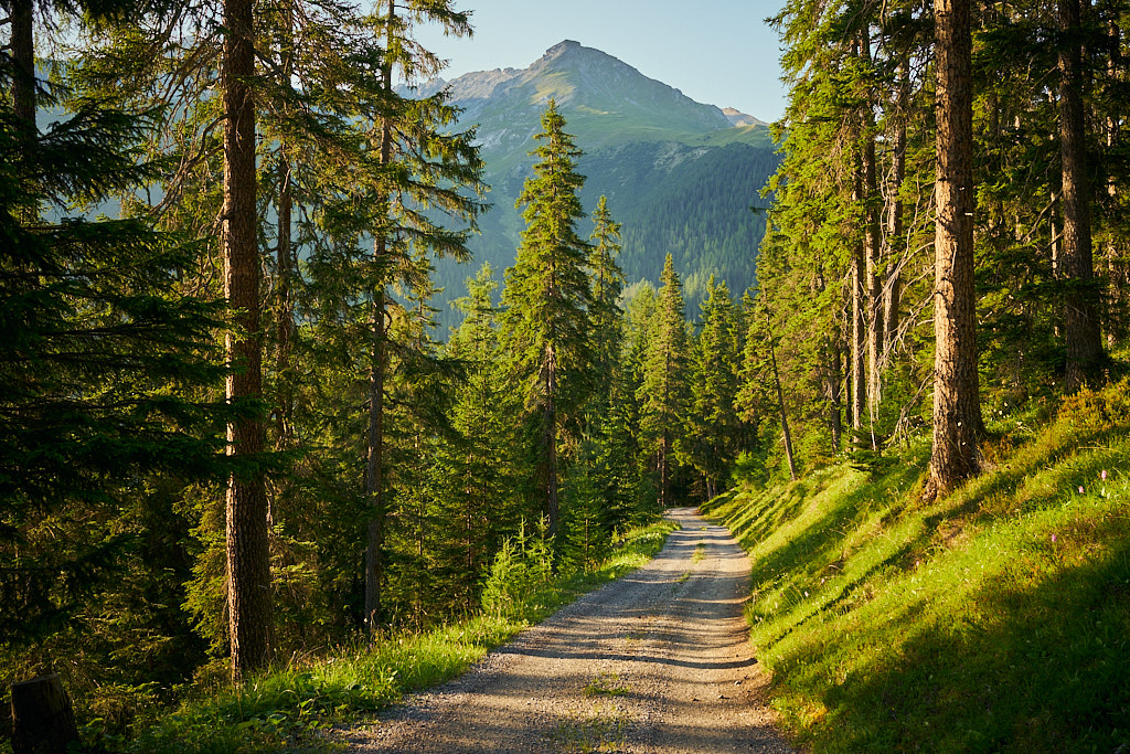 Abfahrt nach Schmitten Abfahrt nach Schmitten