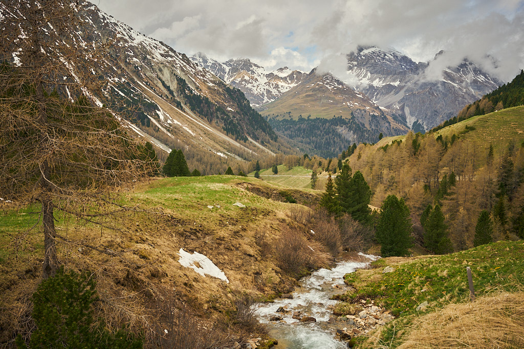 Blick von Crap Alv ins Tal Blick von Crap Alv ins Tal