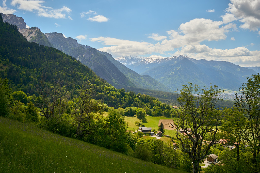 Ausblick ins Rheintal vom Strassenrand Ausblick ins Rheintal vom Strassenrand