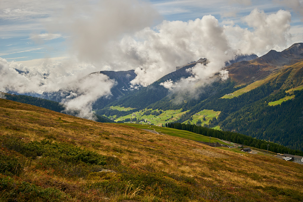 09157d9ab9.jpg