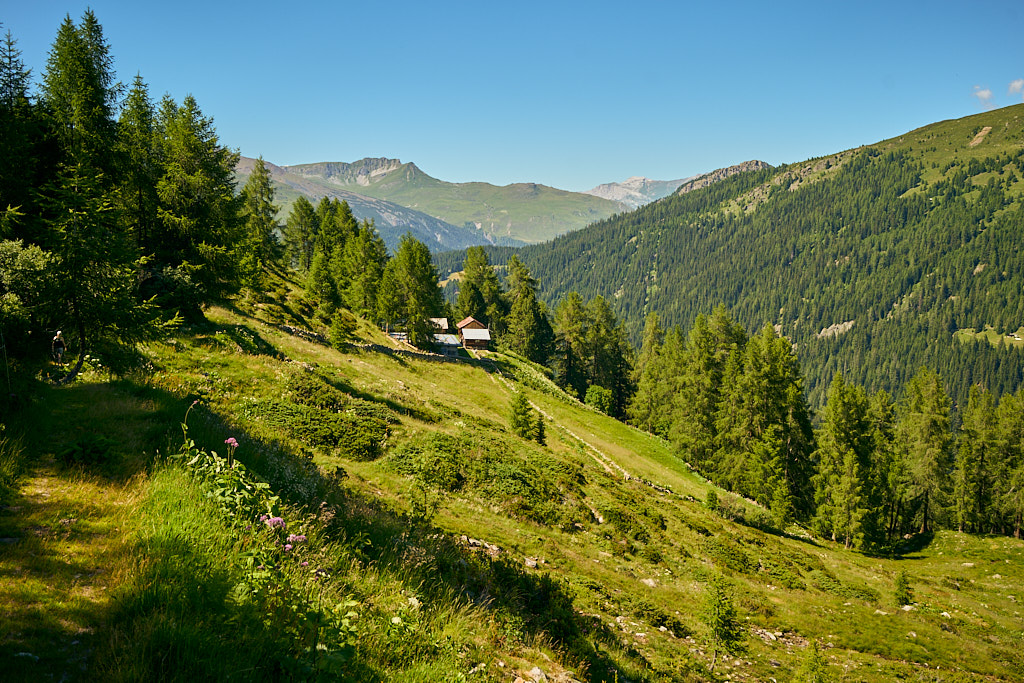 09d86c0f1b.jpg