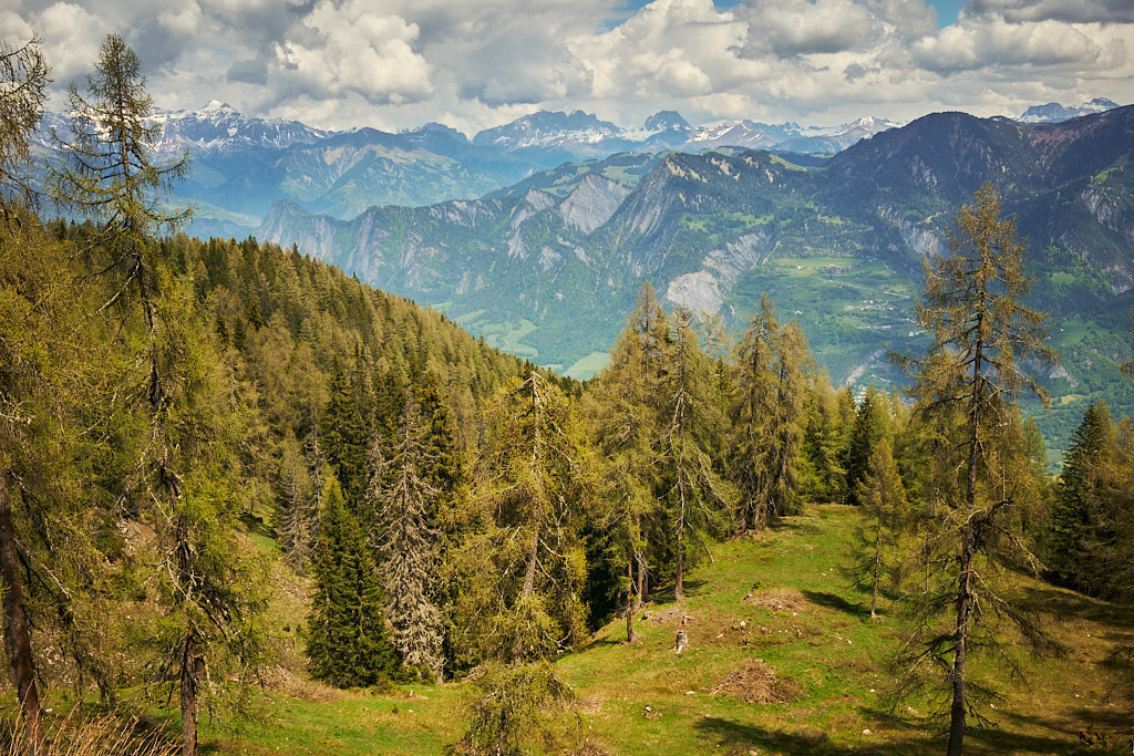Blick auf das Churer Rheintal Blick auf das Churer Rheintal