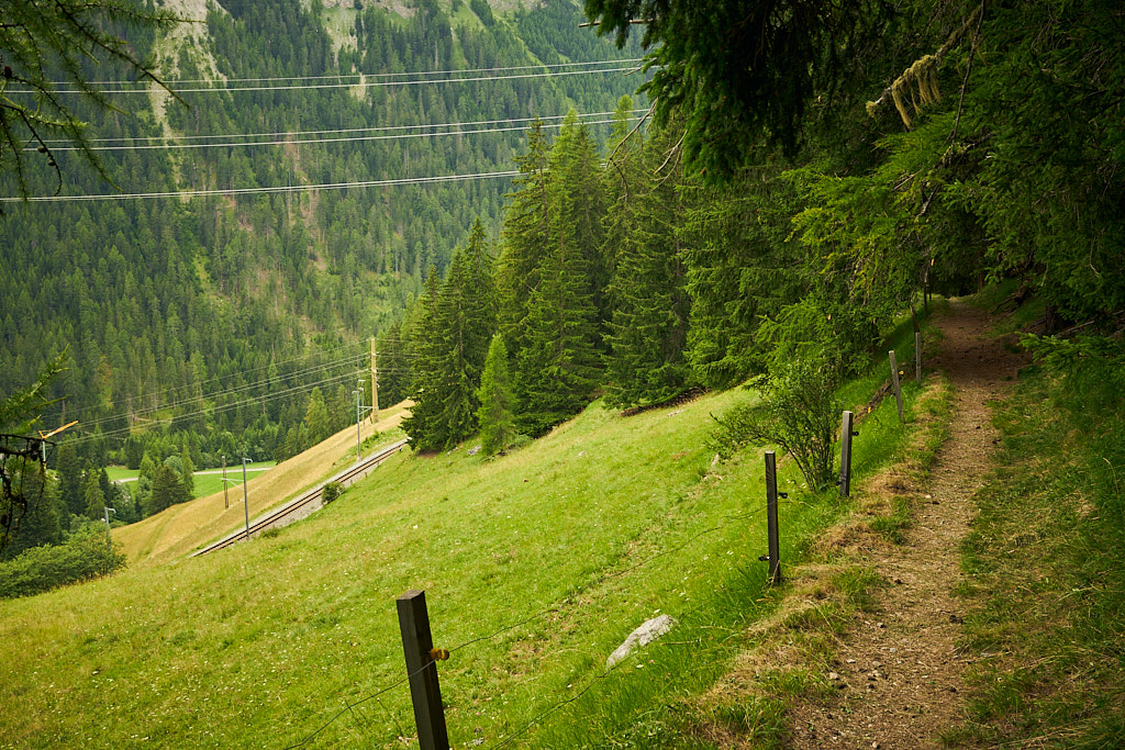 Auf einer kleinen Trailvariante über der Strasse nach Preda Auf einer kleinen Trailvariante über der Strasse nach Preda