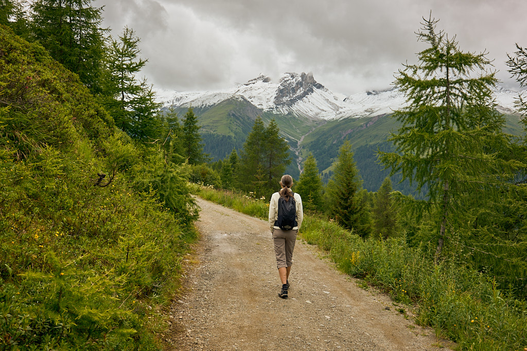 Auf dem Höhenweg kurz vor Jatzmeder Auf dem Höhenweg kurz vor Jatzmeder