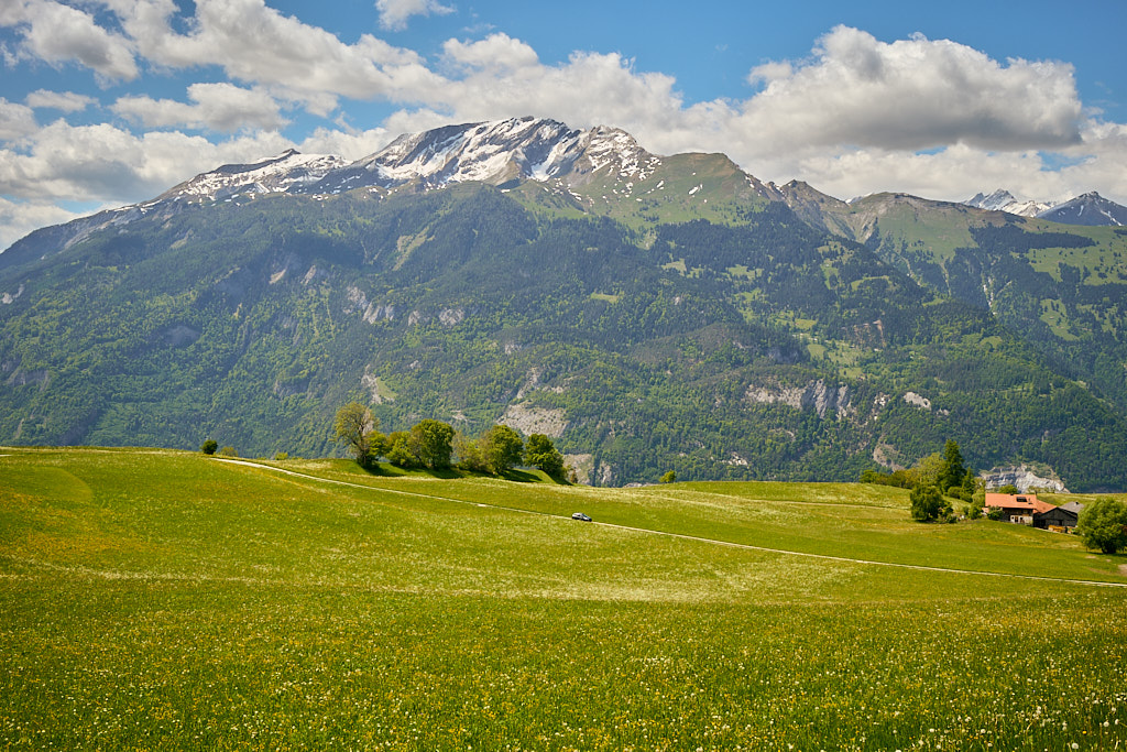Die Haldensteiner Calanda von Obersays aus Die Haldensteiner Calanda von Obersays aus