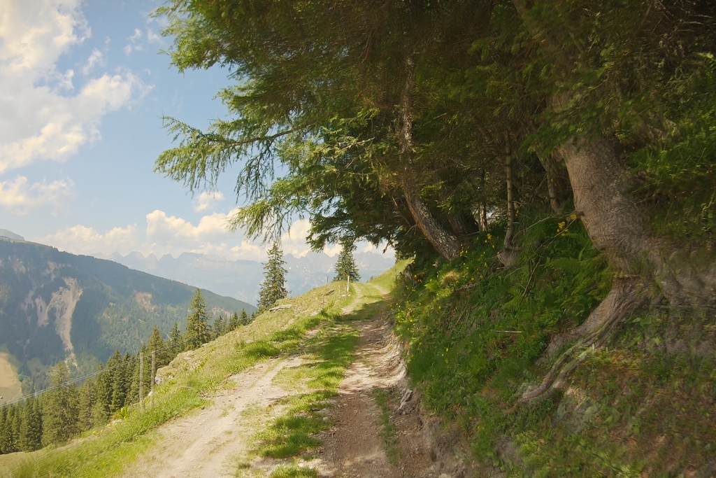 121d6f719a.jpg
