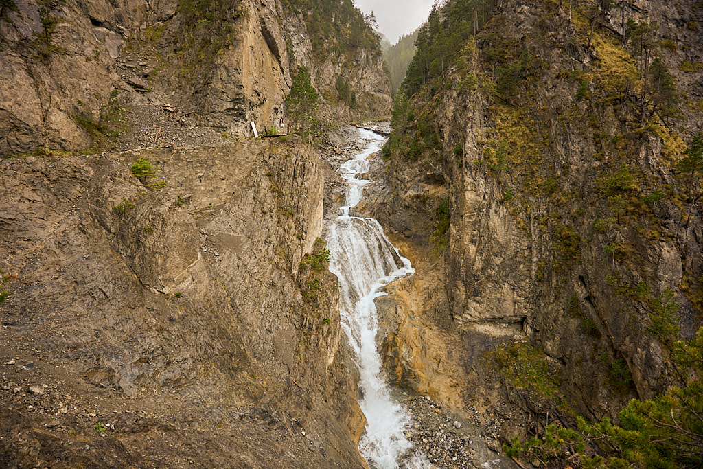 12a391a97d.jpg