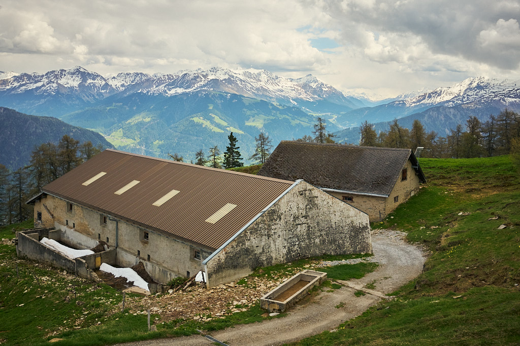 Die Alp Neusäss auf 1875m Höhe Die Alp Neusäss auf 1875m Höhe