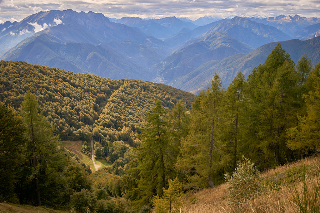 Die Waldstrasse, auf der unsere Bikes stehen