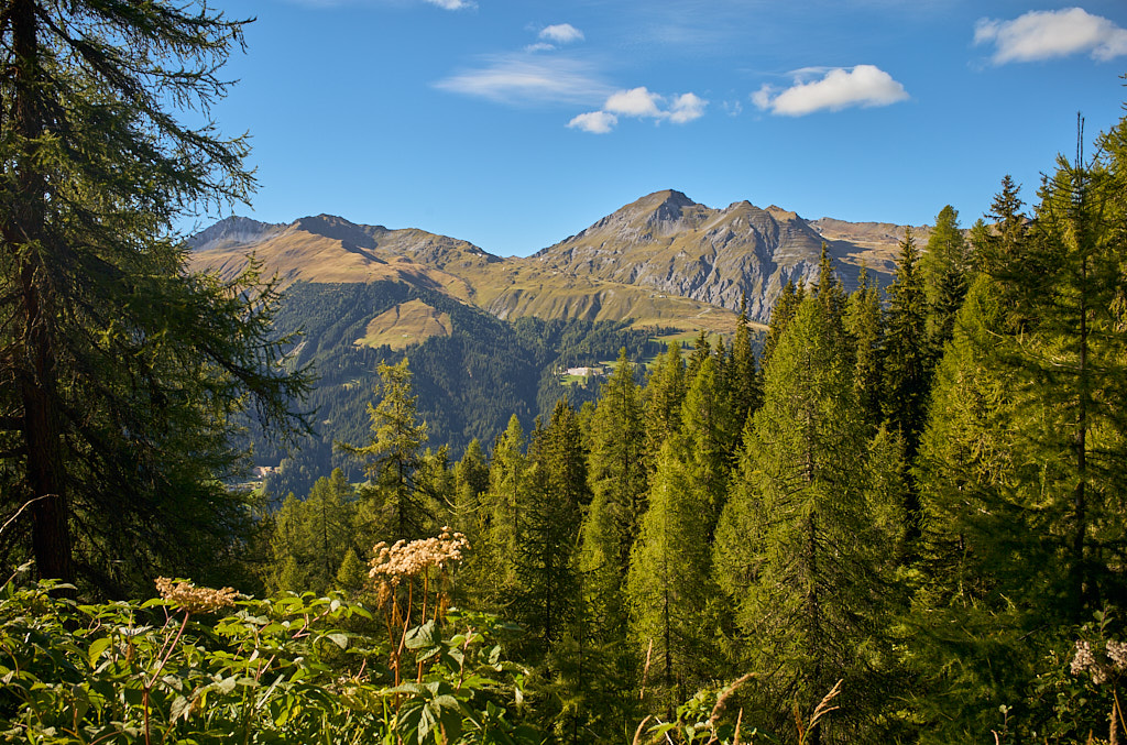 13a6714f20.jpg