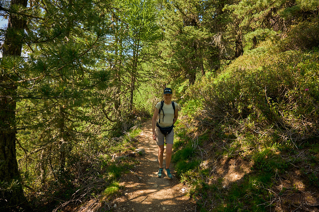 Unterwegs ins Sertigtal Unterwegs ins Sertigtal