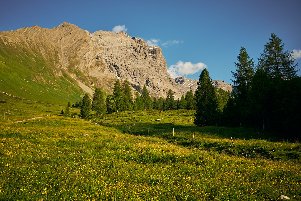 Piz Ela von Pradatsch aus gesehen